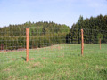 Drôtené ploty